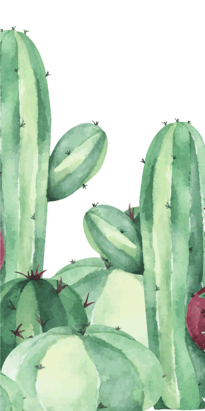Tapis vinyle salle de bain plantes de cactus - TenStickers