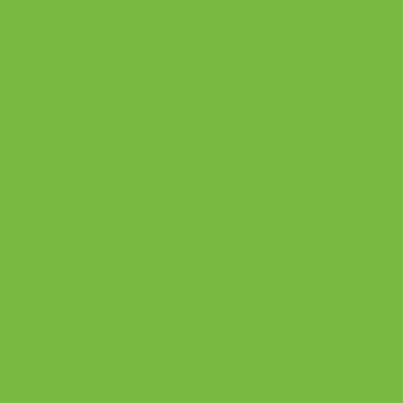 Tapis vinyle chambre drap vert pour armoire - TenStickers