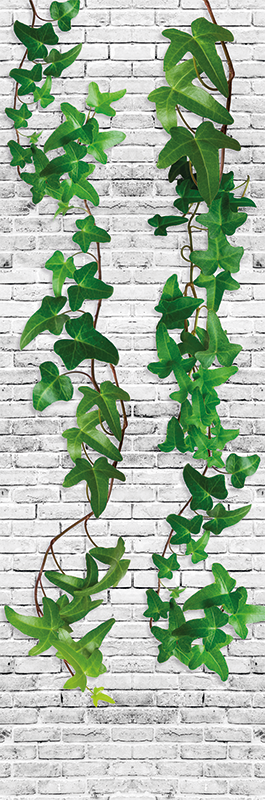 Tapis vinyle nature lierre mural - TenStickers
