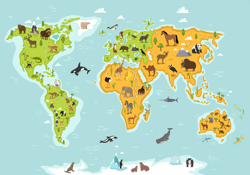 Tapis vinyle carte du monde faune et flore - TenStickers