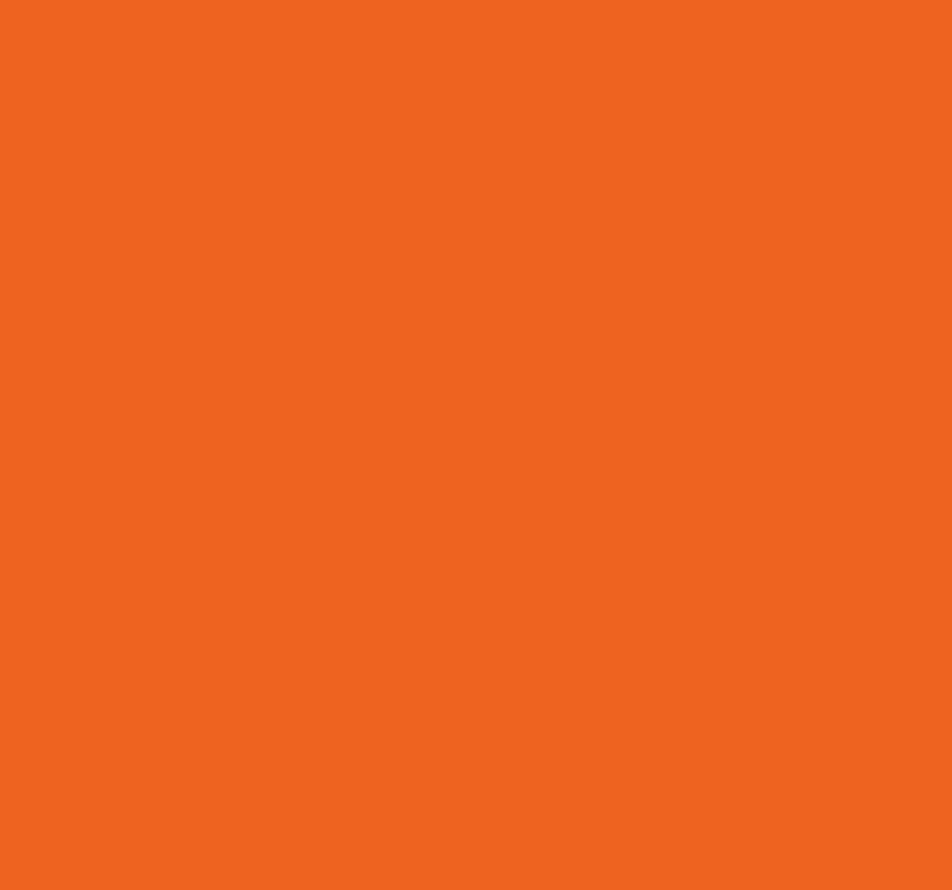 Tapis vinyle orange citrus orange - TenStickers
