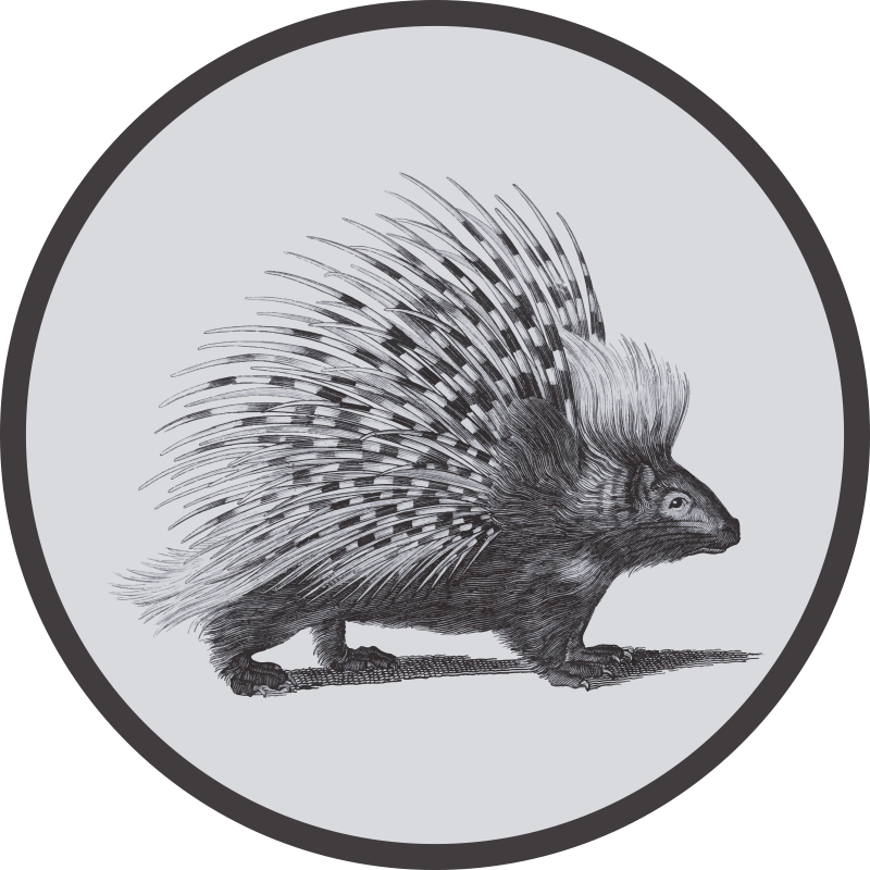 Tapis vinyle animal illustration de porc-épic - TenStickers