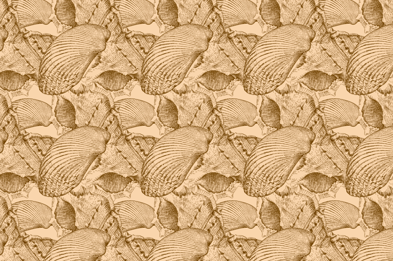 Tapis vinyle animal motif de coquille illustré - TenStickers
