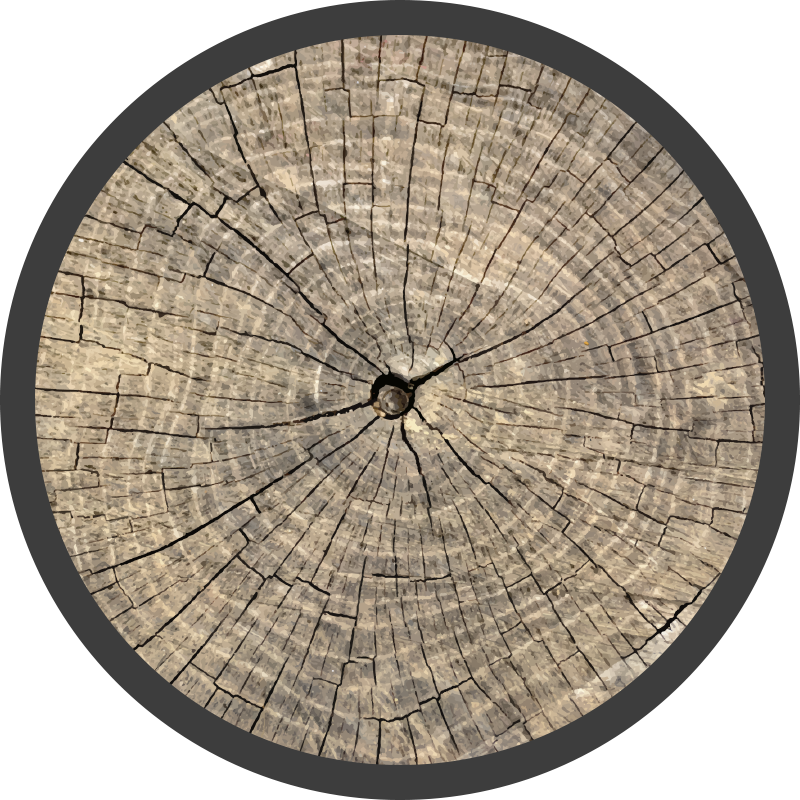 Tapis vinyle imitation parquet coupe transversale du journal - TenStickers