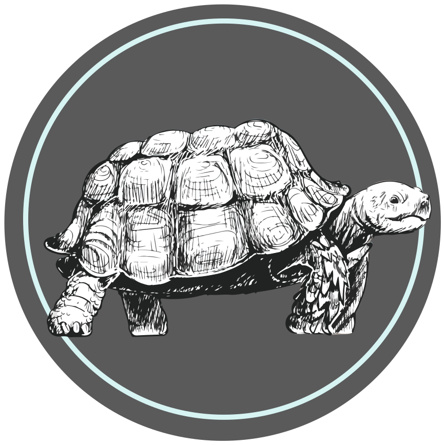 Tapis vinyle animal tortue illustrée - TenStickers