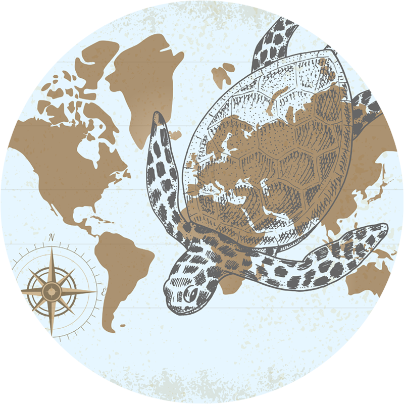 Tapis vinyle carte du monde boussole tortue - TenStickers