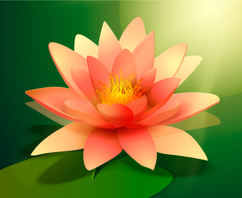 Tapis vinyle fleurs et plantes lotus en floraison - TenStickers