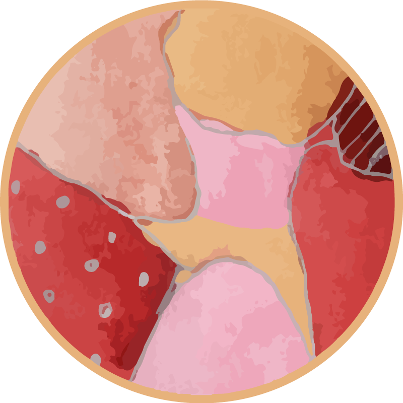 Tapis vinyle entrée motifs floraux vibrants - TenStickers