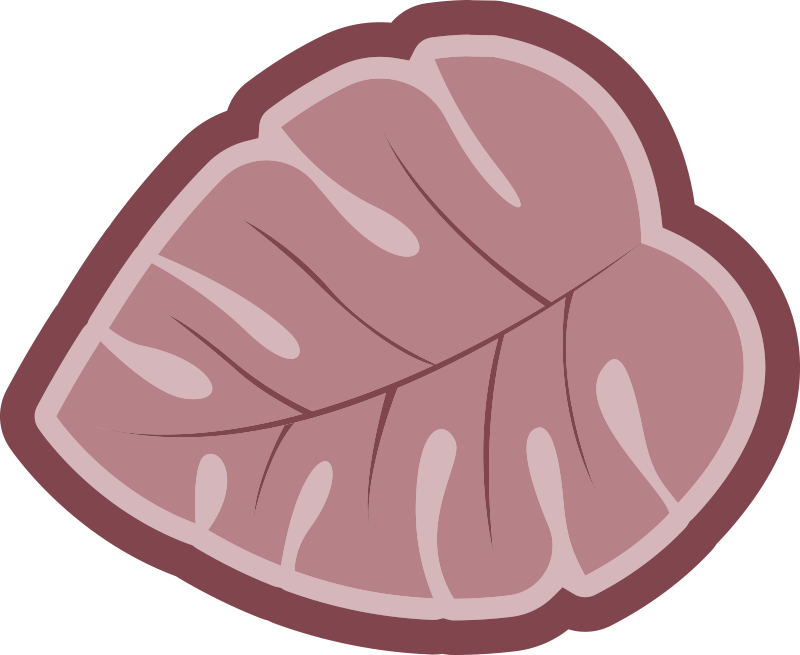 Tapis vinyle fleurs et plantes forme de feuille botanique - TenStickers