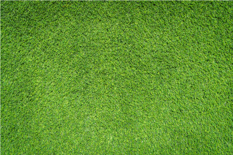Tapis vinyle texture aspect de l'herbe - TenStickers
