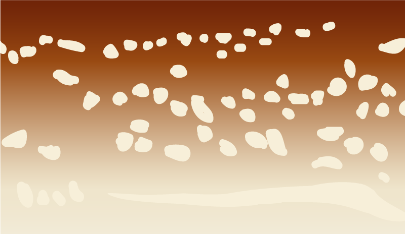 Tapis vinyle pierre passerelle marron - TenStickers