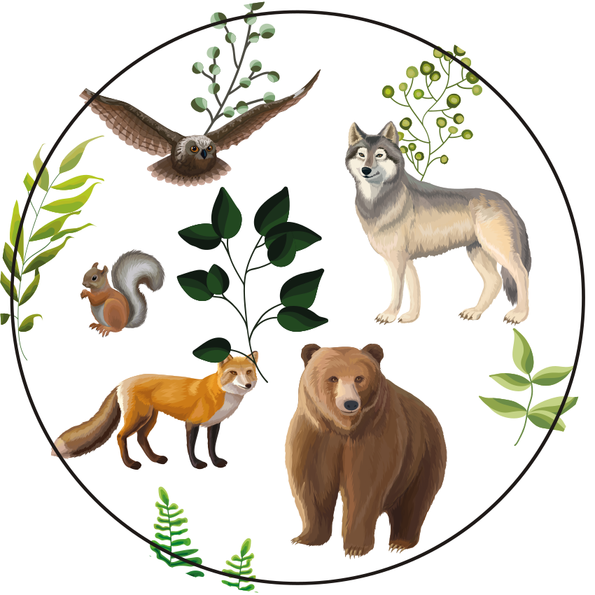 Tapis vinyle autres tapis créatures amicales de la forêt - TenStickers
