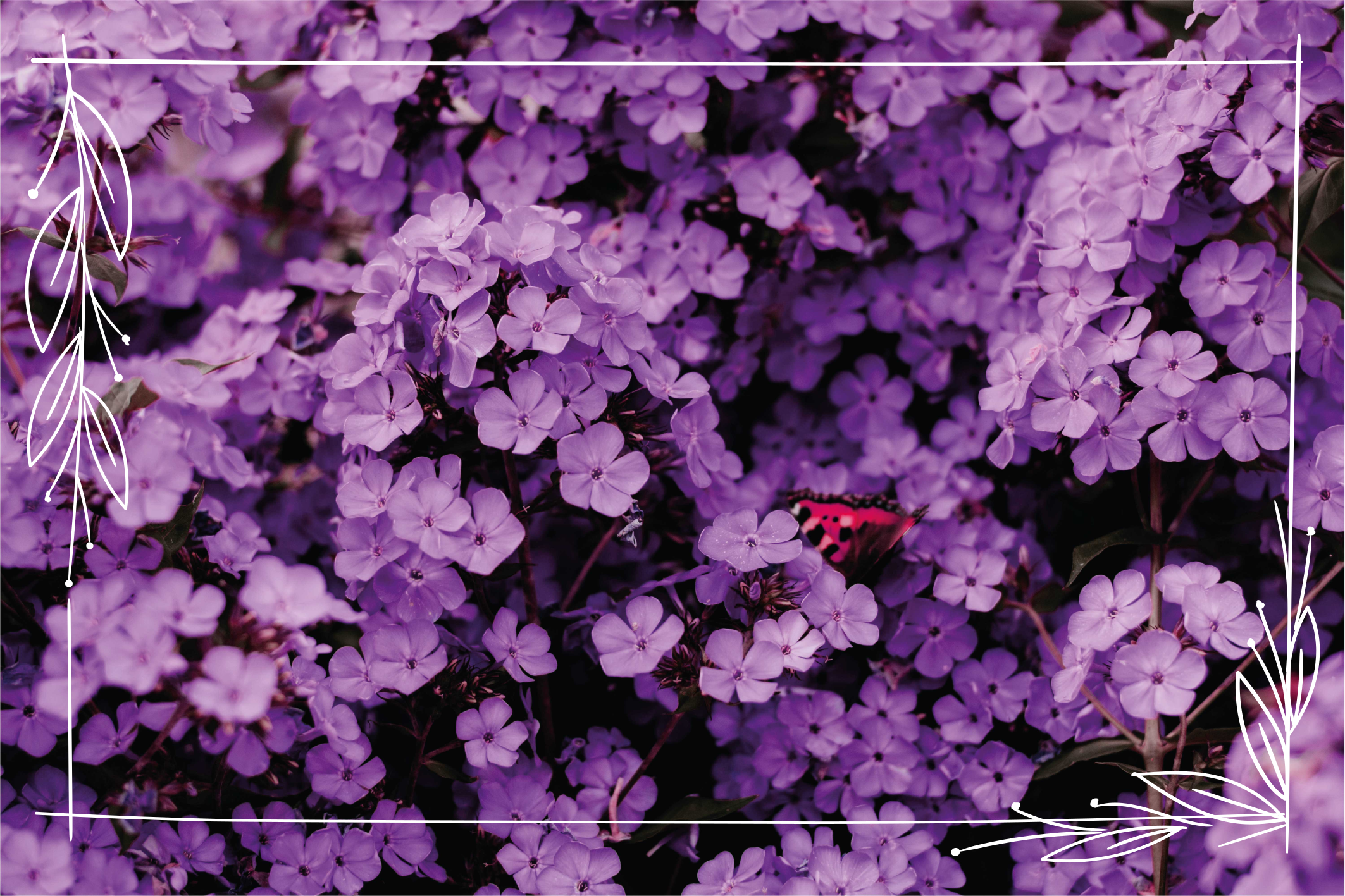 Tapis vinyle fleurs et plantes nuances violettes - TenStickers