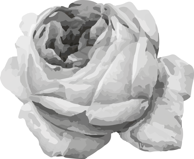 Tapis vinyle fleurs et plantes fleur de rose - TenStickers