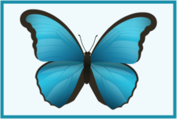 Tapis vinyle animal papillon bleu - TenStickers