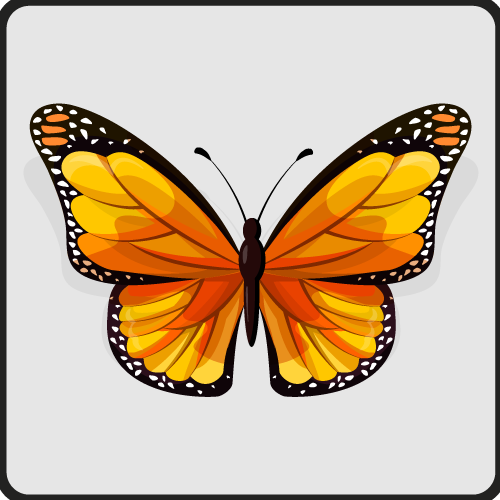 Tapis vinyle salle de bain bel art de papillon - TenStickers