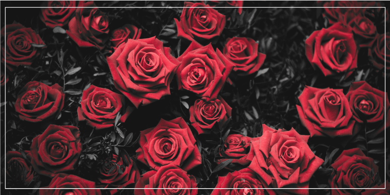 Tapis vinyle fleurs et plantes roses rouges réalistes - TenStickers