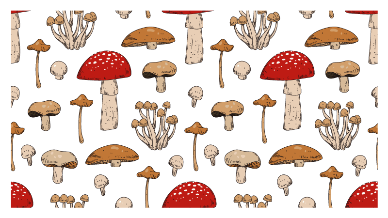 Tapis vinyle nature paysage de rêve aux champignons - TenStickers
