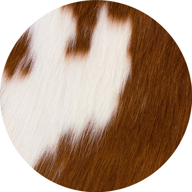 Tapis vinyle animal représentation de peau de vache - TenStickers
