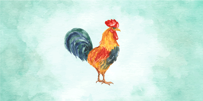 Tapis vinyle animal œuvre d'art de coq à l'aquarelle - TenStickers