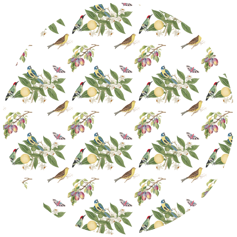 Tapis vinyle rond motifs d'oiseaux colorés - TenStickers