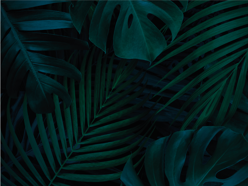 Tapis vinyle fleurs et plantes feuillage tropical - TenStickers