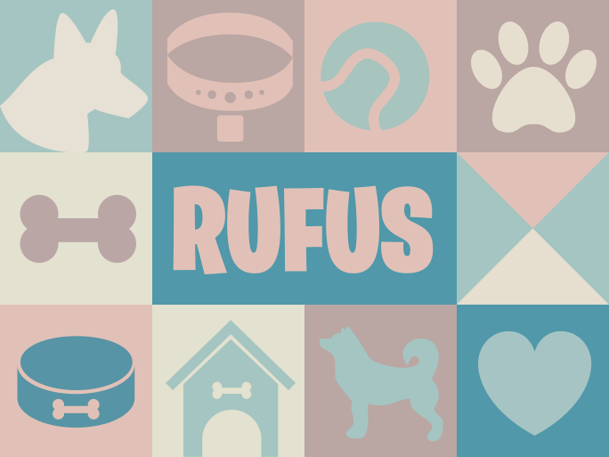 Tapis vinyle animal Chien prénom personnalisé - TenStickers