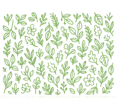 Papier peint chambre enfant vert botanique - TenStickers